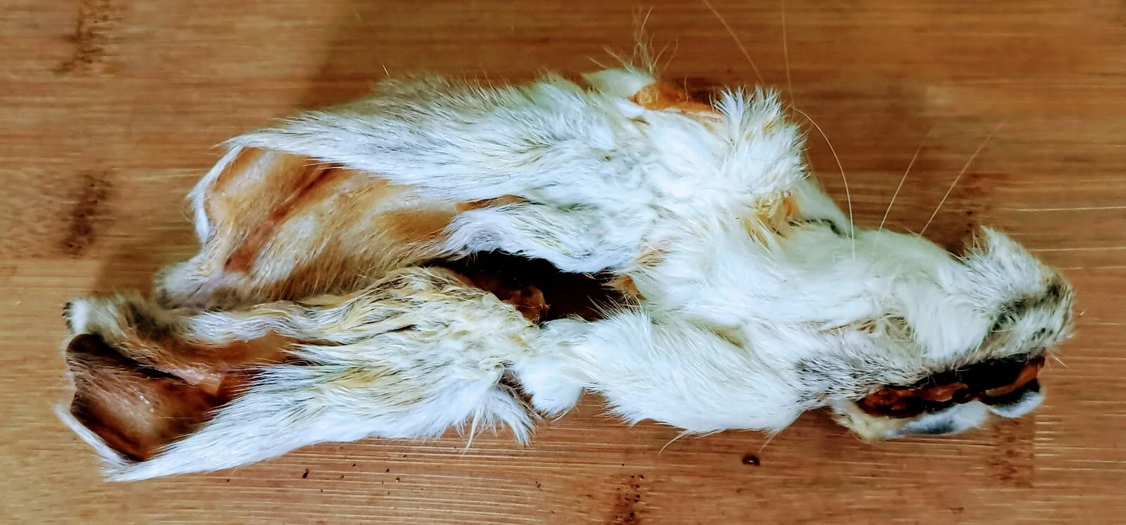 Furry rabbit ears for cheap dogs